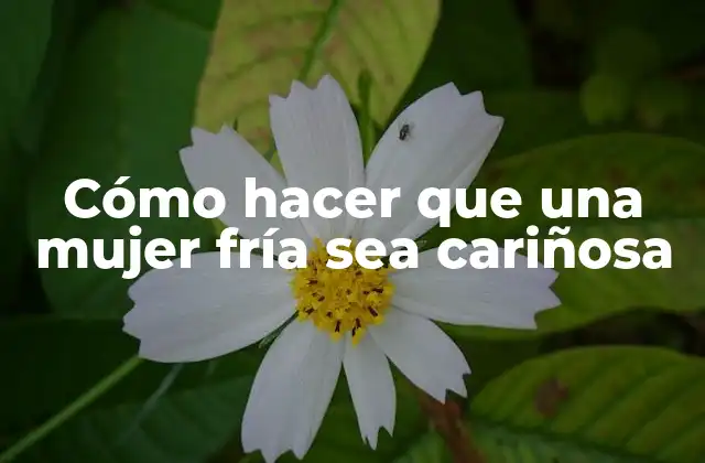 Cómo Hacer que una Mujer Fría Sea Cariñosa