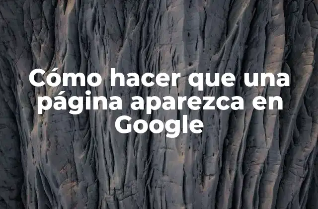 Cómo Hacer que una Página Aparezca en Google