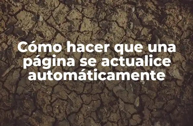 Cómo Hacer que una Página Se Actualice Automáticamente