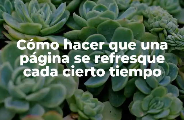 Cómo Hacer que una Página Se Refresque Cada Cierto Tiempo
