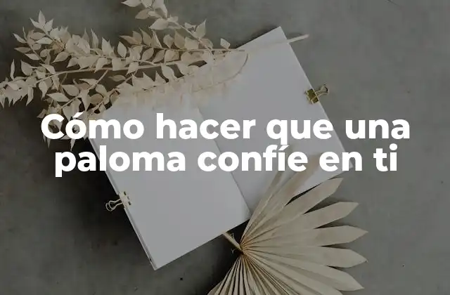Cómo Hacer que una Paloma Confíe en Ti