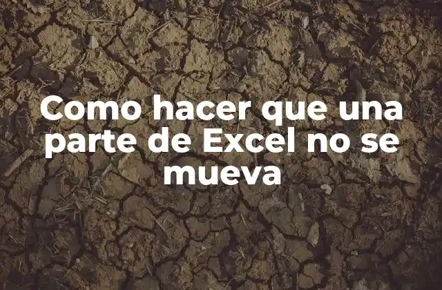 Como Hacer que una Parte de Excel No Se Mueva