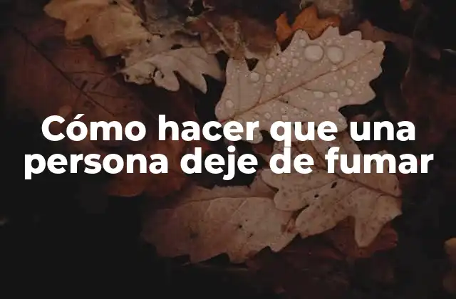 Cómo Hacer que una Persona Deje de Fumar