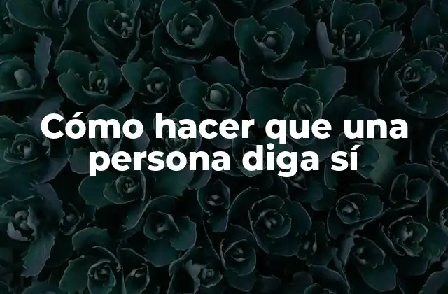 Cómo hacer que una persona diga sí