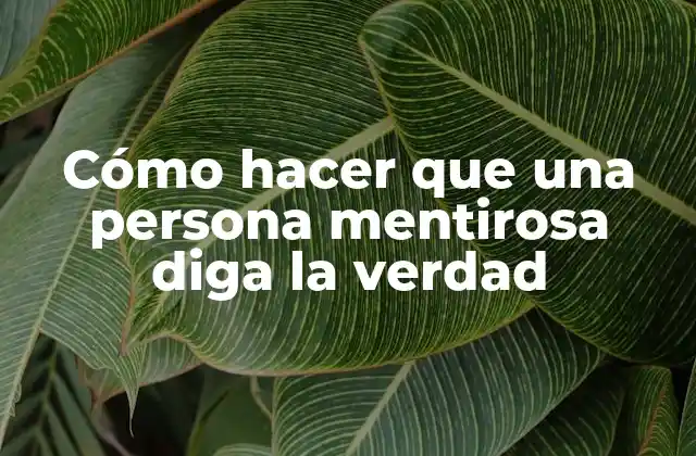 Cómo Hacer que una Persona Mentirosa Diga la Verdad