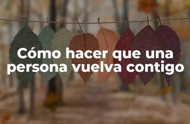 Cómo Hacer que una Persona Vuelva Contigo
