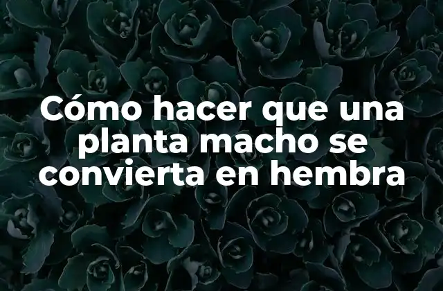 Cómo hacer que una planta macho se convierta en hembra