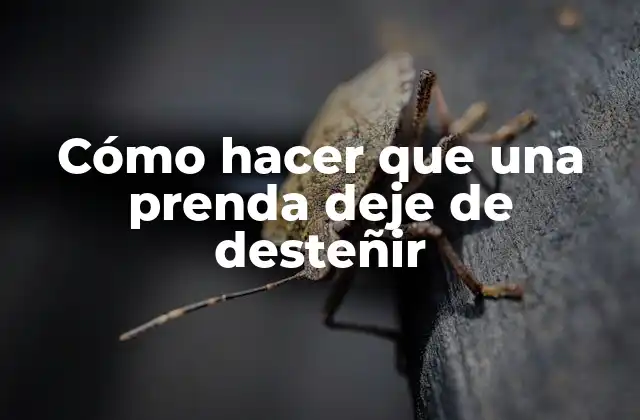 Cómo Hacer que una Prenda Deje de Desteñir