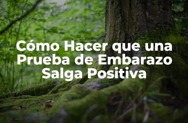 Cómo Hacer que una Prueba de Embarazo Salga Positiva