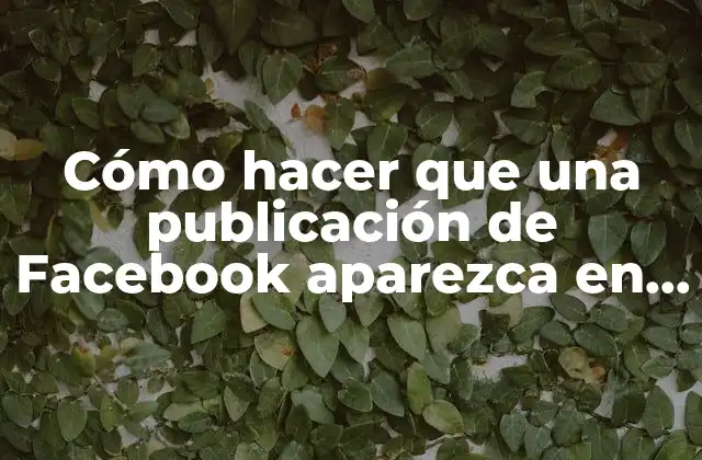 Cómo Hacer que una Publicación de Facebook Aparezca en Instagram