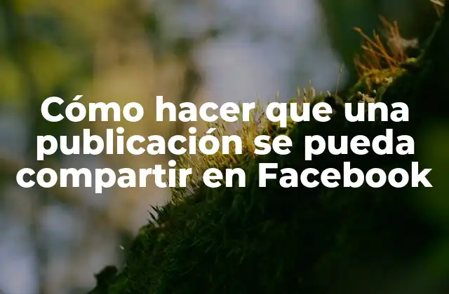 Cómo Hacer que una Publicación Se Pueda Compartir en Facebook