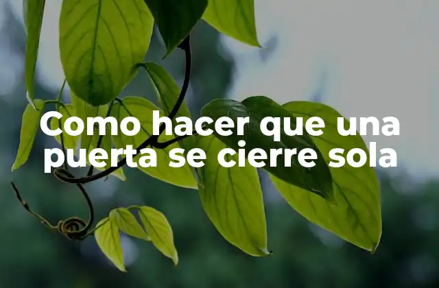 Como Hacer que una Puerta Se Cierre Sola