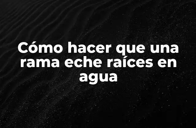 Cómo Hacer que una Rama Eche Raíces en Agua