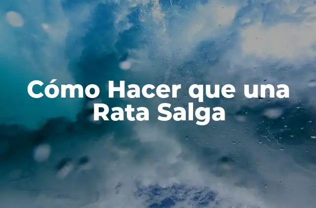 Cómo Hacer que una Rata Salga