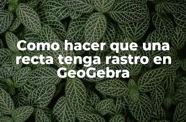 Como Hacer que una Recta Tenga Rastro en Geogebra
