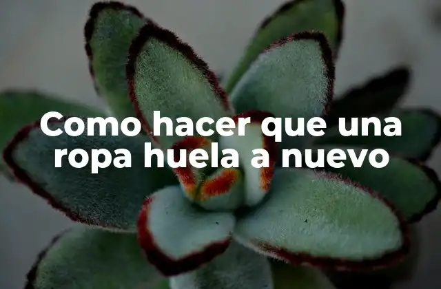 Como Hacer que una Ropa Huela a Nuevo