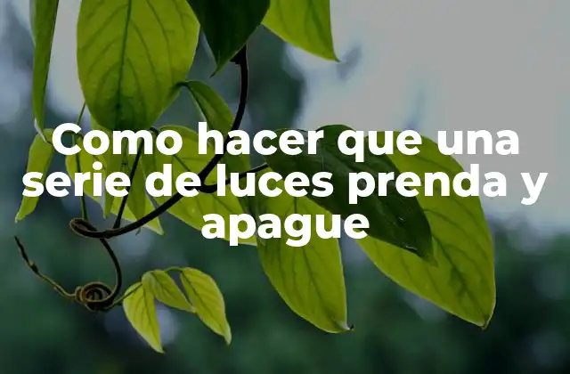 Como Hacer que una Serie de Luces Prenda y Apague