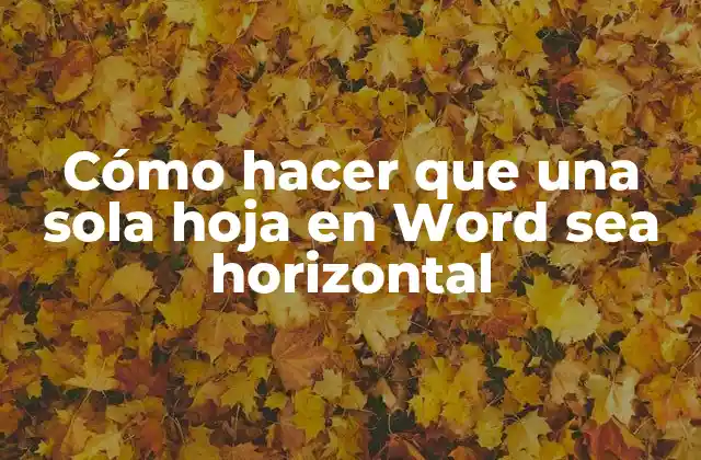 Cómo Hacer que una Sola Hoja en Word Sea Horizontal