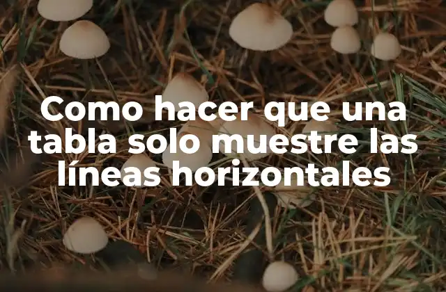 Como Hacer que una Tabla Solo Muestre las Líneas Horizontales