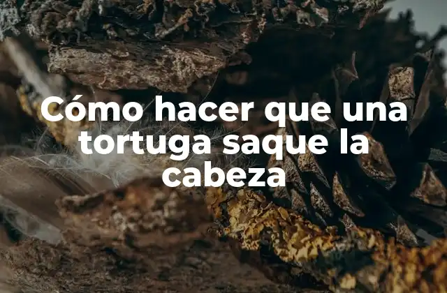 Cómo Hacer que una Tortuga Saque la Cabeza 2 Cómo hacer que una tortuga saque la cabeza