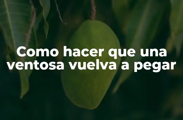 Como Hacer que una Ventosa Vuelva a Pegar