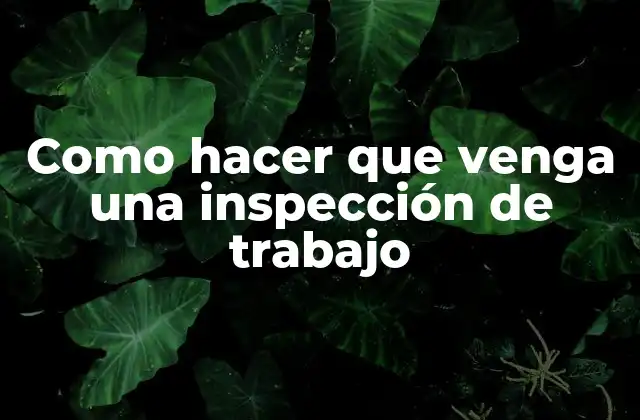 Como Hacer que Venga una Inspección de Trabajo
