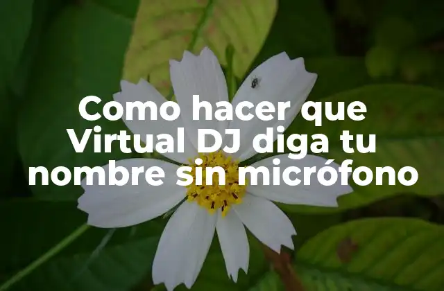 Como Hacer que Virtual Dj Diga Tu Nombre sin Micrófono