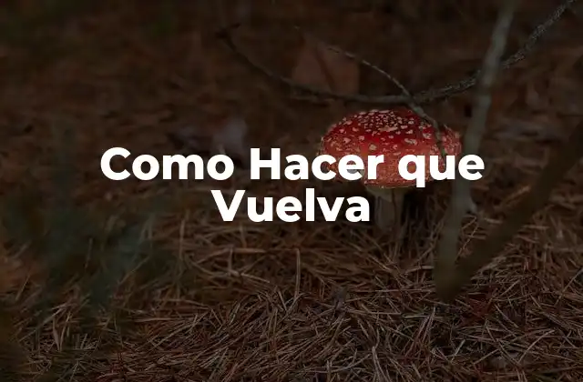 Como Hacer que Vuelva 2 ¿Qué es el Amor y Cómo se Recupera?