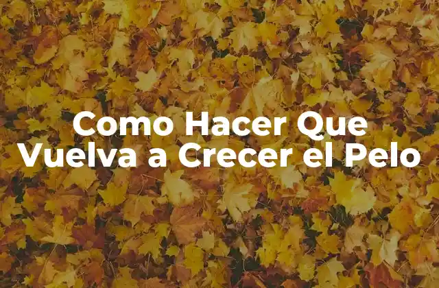 Como Hacer que Vuelva a Crecer el Pelo