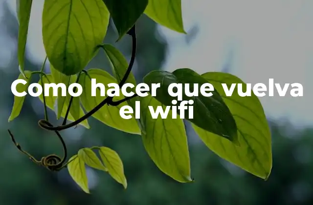 Como Hacer que Vuelva el Wifi 2 Como hacer que vuelva el wifi