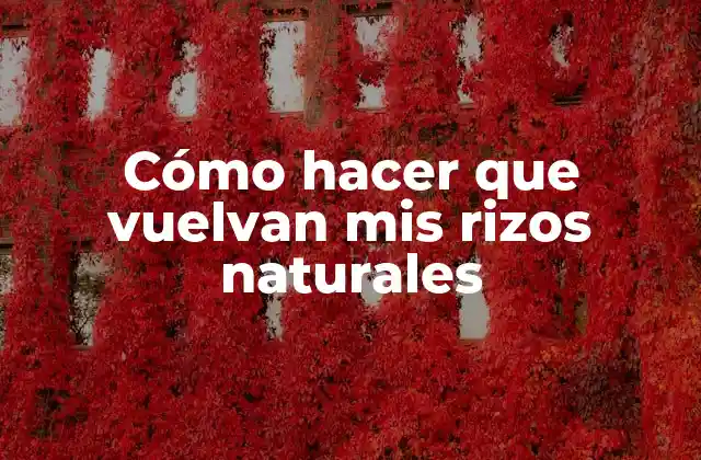 Cómo Hacer que Vuelvan Mis Rizos Naturales