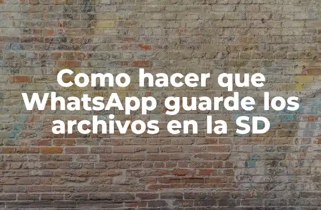 Como Hacer que Whatsapp Guarde los Archivos en la Sd 2 ¿Qué es WhatsApp y cómo se utiliza?