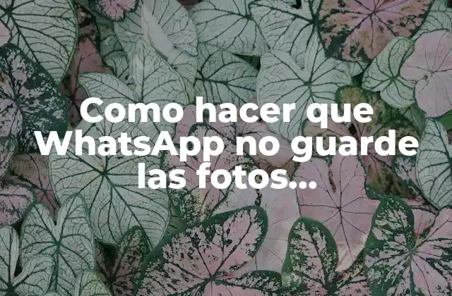 Como Hacer que Whatsapp No Guarde las Fotos Automáticamente