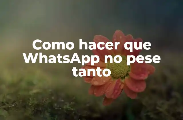 Como Hacer que Whatsapp No Pese Tanto