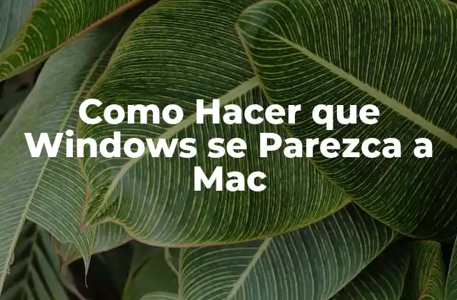 Como Hacer que Windows Se Parezca a Mac