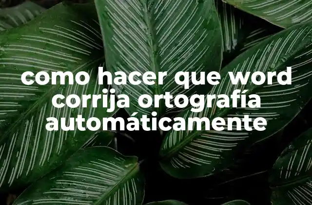 Como Hacer que Word Corrija Ortografía Automáticamente