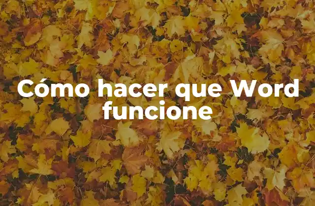 Cómo Hacer que Word Funcione 2 Cómo hacer que Word funcione