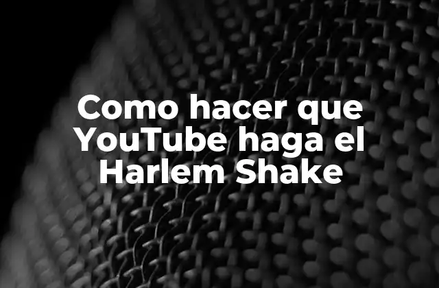Como Hacer que Youtube Haga el Harlem Shake