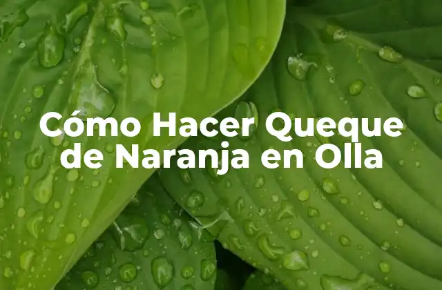 Cómo Hacer Queque de Naranja en Olla 2 Qué es un Queque de Naranja y Para Qué Sirve