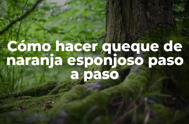 Cómo Hacer Queque de Naranja Esponjoso Paso a Paso 2 Qué es un queque de naranja esponjoso y para qué sirve