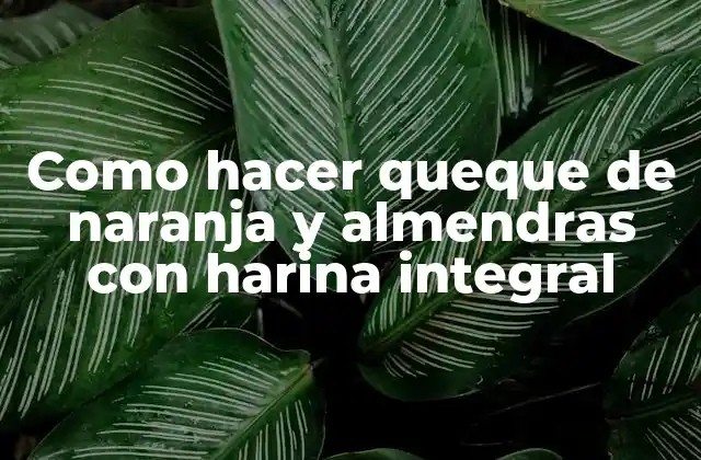 Como Hacer Queque de Naranja y Almendras con Harina Integral