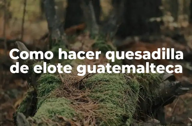 Como Hacer Quesadilla de Elote Guatemalteca