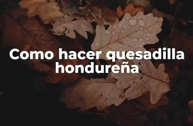 Como Hacer Quesadilla Hondureña