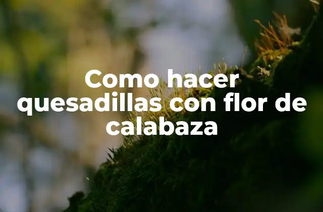 Como Hacer Quesadillas con Flor de Calabaza 2 Quesadillas con flor de calabaza, una delicia mexicana