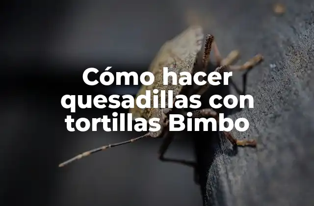 Cómo Hacer Quesadillas con Tortillas Bimbo