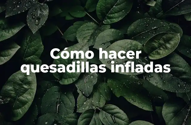 Cómo Hacer Quesadillas Infladas