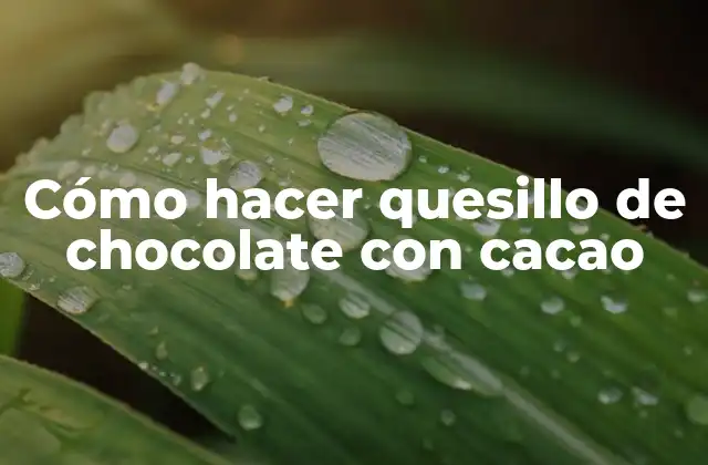 ¿Qué es un quesillo de chocolate con cacao?