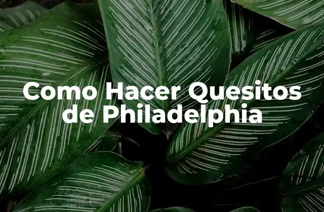 Como Hacer Quesitos de Philadelphia
