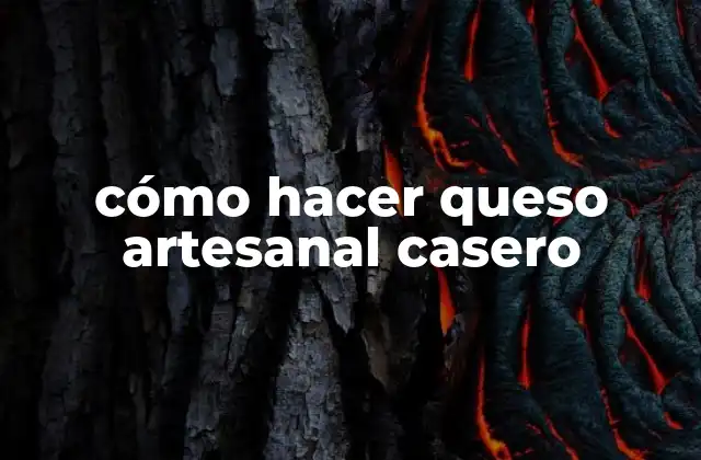 Cómo Hacer Queso Artesanal Casero