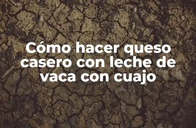 Cómo Hacer Queso Casero con Leche de Vaca con Cuajo